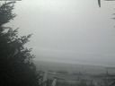 ./images/calvert/beach/20201002/beach20201002_121002.jpg