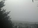 ./images/calvert/beach/20201002/beach20201002_122503.jpg