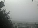 ./images/calvert/beach/20201002/beach20201002_124503.jpg