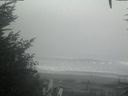 ./images/calvert/beach/20201002/beach20201002_140502.jpg