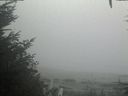 ./images/calvert/beach/20201002/beach20201002_161002.jpg