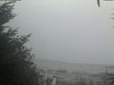 ./images/calvert/beach/20201002/beach20201002_191001.jpg