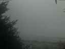 ./images/calvert/beach/20201003/beach20201003_071502.jpg