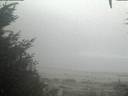 ./images/calvert/beach/20201003/beach20201003_072501.jpg