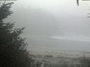 ./images/calvert/beach/20201003/beach20201003_081003.jpg