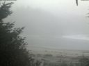 ./images/calvert/beach/20201003/beach20201003_081501.jpg