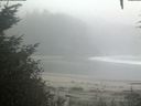 ./images/calvert/beach/20201003/beach20201003_082503.jpg