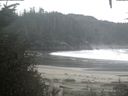 ./images/calvert/beach/20201003/beach20201003_101003.jpg
