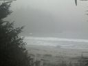 ./images/calvert/beach/20201003/beach20201003_130501.jpg