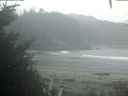 ./images/calvert/beach/20201005/beach20201005_073503.jpg