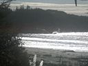 ./images/calvert/beach/20201006/beach20201006_141502.jpg