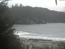 ./images/calvert/beach/20201017/beach20201017_132501.jpg