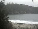 ./images/calvert/beach/20201017/beach20201017_135502.jpg