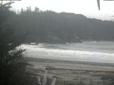 ./images/calvert/beach/20201103/beach20201103_155502.jpg