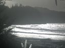 ./images/calvert/beach/20201105/beach20201105_130503.jpg