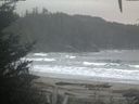 ./images/calvert/beach/20201110/beach20201110_082002.jpg