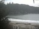 ./images/calvert/beach/20201111/beach20201111_091002.jpg
