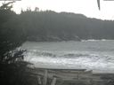 ./images/calvert/beach/20201113/beach20201113_110503.jpg