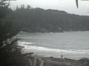 ./images/calvert/beach/20201116/beach20201116_143502.jpg