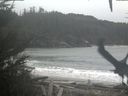 ./images/calvert/beach/20201116/beach20201116_144003.jpg