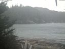 ./images/calvert/beach/20201117/beach20201117_125502.jpg