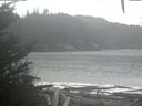 ./images/calvert/beach/20201117/beach20201117_132501.jpg