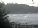 ./images/calvert/beach/20201125/beach20201125_101503.jpg