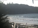./images/calvert/beach/20201201/beach20201201_113503.jpg