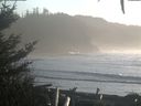 ./images/calvert/beach/20201202/beach20201202_150501.jpg