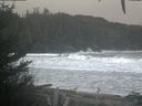 ./images/calvert/beach/20201203/beach20201203_153502.jpg