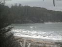 ./images/calvert/beach/20201204/beach20201204_155003.jpg