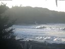 ./images/calvert/beach/20201211/beach20201211_100002.jpg