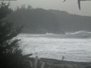 ./images/calvert/beach/20201215/beach20201215_104502.jpg
