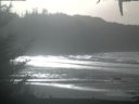 ./images/calvert/beach/20201220/beach20201220_131003.jpg