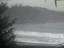 ./images/calvert/beach/20201226/beach20201226_085001.jpg
