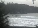 ./images/calvert/beach/20201229/beach20201229_105003.jpg