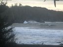 ./images/calvert/beach/20201230/beach20201230_122501.jpg