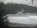./images/calvert/beach/20201230/beach20201230_145002.jpg