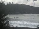 ./images/calvert/beach/20201231/beach20201231_121502.jpg