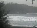 ./images/calvert/beach/20210101/beach20210101_121503.jpg