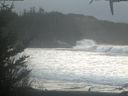 ./images/calvert/beach/20210101/beach20210101_151503.jpg