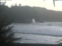 ./images/calvert/beach/20210104/beach20210104_154503.jpg