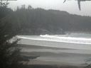 ./images/calvert/beach/20210105/beach20210105_102503.jpg