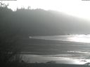 ./images/calvert/beach/20210108/beach20210108_142501.jpg