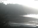 ./images/calvert/beach/20210108/beach20210108_143501.jpg