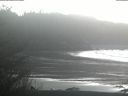 ./images/calvert/beach/20210108/beach20210108_145003.jpg