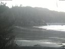 ./images/calvert/beach/20210108/beach20210108_154502.jpg