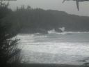 ./images/calvert/beach/20210110/beach20210110_120002.jpg