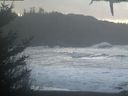 ./images/calvert/beach/20210113/beach20210113_121002.jpg