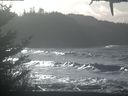 ./images/calvert/beach/20210113/beach20210113_123501.jpg